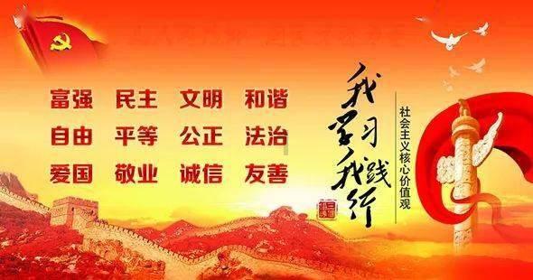 拯救小萌虎
